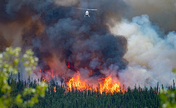 Waldbrand