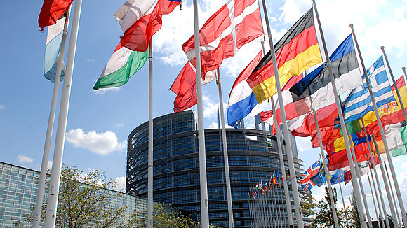 Flaggen der Mitgliedsstaaten vor dem EU-Parlament in Straßburg.